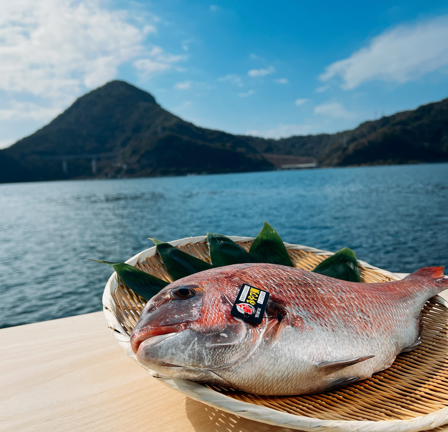 あにやん様専用 はるみ5kg×4 - 米・雑穀・粉類