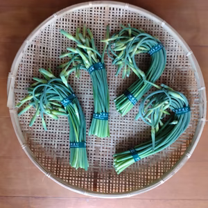 今が旬、栄養満点、にんにくの芽