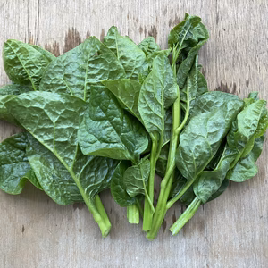 なつのネバネバ野菜　つるむらさき