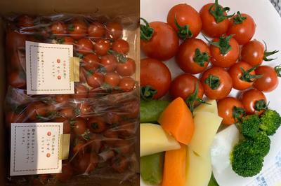 みんなの投稿の画像