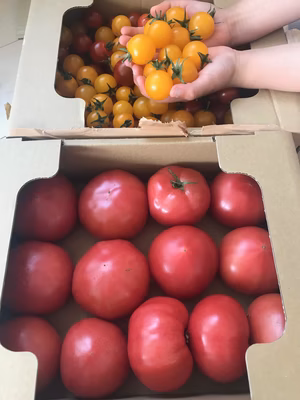 みんなの投稿の画像