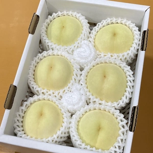 7月下旬〜8月上旬　岡山の白桃　ご自宅用　お試しサイズ　小箱