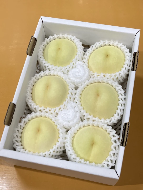 岡山の白桃　ご自宅用　お試しサイズ　小箱(予約①)