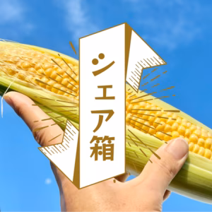 [信州産] シェア箱！みんなで楽しむ生糖もろこし