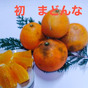初出し❗️ジュース用まどんな 4キロ