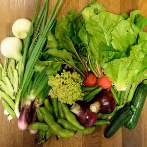 季節のカラフル野菜ボリュームセット【7-8品目】