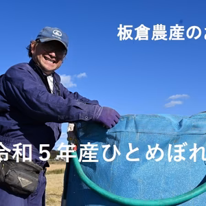 緊急出荷❗️令和５年産【ひとめぼれ】
