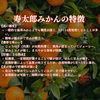 みかん【品種: 寿太郎 】 訳ありみかん 西浦みかん 