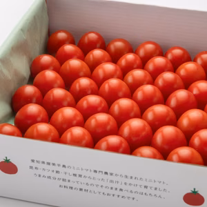 【赤い宝石箱】濃厚ミニトマト　日時指定可能　御歳暮・ギフト・贈り物　