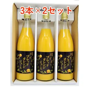 三ヶ日産ブラッドオレンジジュース 720ml・3本×2セット（計6本）