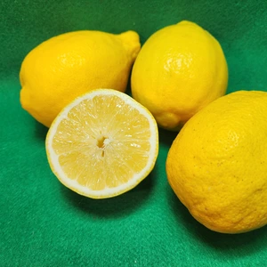 完熟種なしレモン　人気レモン