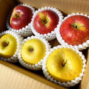 《数量限定》大人気品種食べ比べセット！シナノスイート×シナノゴールド