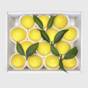 【人気No.1】数量限定 最上級 赤秀品 極上 プリンセス日向夏(種無し)14玉