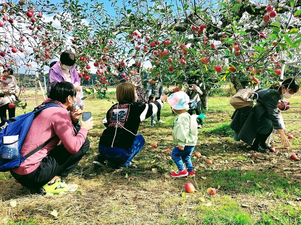 秋田県鹿角市｜果実庵とざわ｜兎澤忠良さんの生産者プロフィール