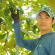 関口智弘