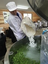 長期熟成から目醒めた甘口梅酒「長期熟成 純情梅酒」500ｍｌ　度数21度