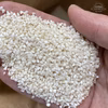 【訳あり米】 20kg 砕米 (小米 鳥の餌 くず米 訳あり ふるい下 うるち米