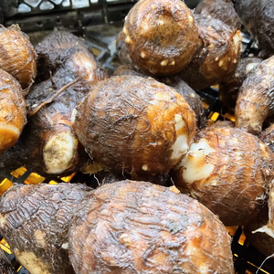 12月発【予約増量(^^♪】 里芋　“土垂”　from 名水の里　秦野