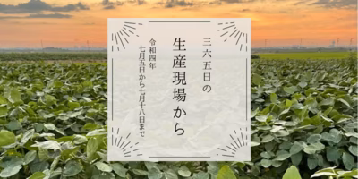7月5〜18日の生産現場から、大暑の37投稿！