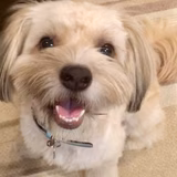 とまとまとまと