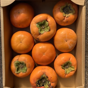 【送料無料】富有柿　訳あり品　