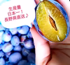 【残りわずか！】甘くてジューシー生プルーン《ベイラー》
