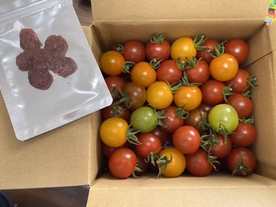 みんなの投稿の画像