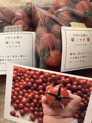 みんなの投稿の画像