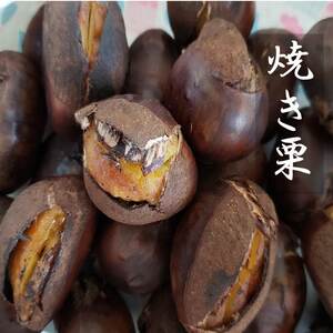 焼き栗 真空パック冷凍　自然栽培栗使用