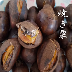 焼き栗 真空パック冷凍　自然栽培栗使用