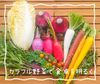 ★クール便【有名ホテルシェフ御用達】『お試しS冬のカラフル野菜セット6品目』