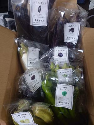 みんなの投稿の画像