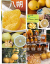 レモネード＆レモン)と【あなたのチョイスで自宅朝食バラエティーセット❢】