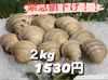 緊急値下げ！！ホンビノス貝【2kg】
