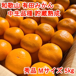 【秀品・中生品種・Ｍサイズ】和歌山有田産みかん≪5㎏≫　★１月７日以降発送