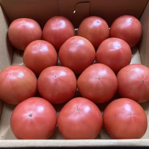 トマトのミネラル感じてみませんか？