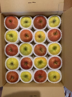 みんなの投稿の画像