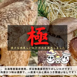 椎茸の商品一覧(42ページ目)｜ポケットマルシェ｜産直(産地直送)通販