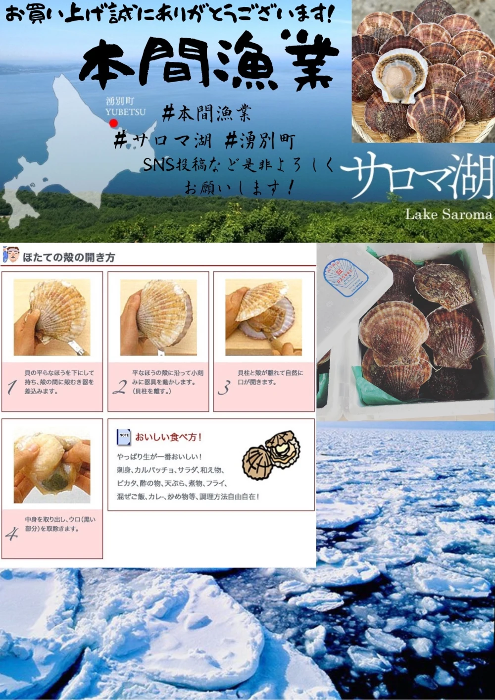 10月発送予約❗️厳選‼️鮮度抜群‼️甘くてぷりぷり活ホタテ、全サイズ混ざり‼️