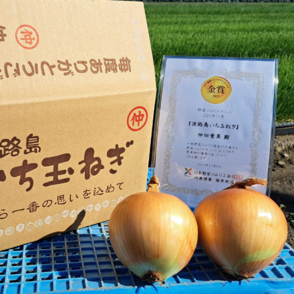 祝!3年連続金賞】淡路島玉ねぎ20kg｜玉ねぎの商品詳細｜ポケット