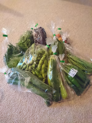 みんなの投稿の画像