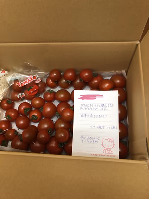 みんなの投稿の画像