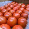 肉厚でジューシー！あま～いミディトマト『フルティカ』(2.5㎏)