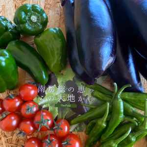 野菜ボックス夏（L)