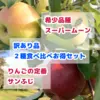 【送料無料】スーパームーンりんご＆サンふじ・訳あり5kg