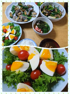 みんなの投稿の画像