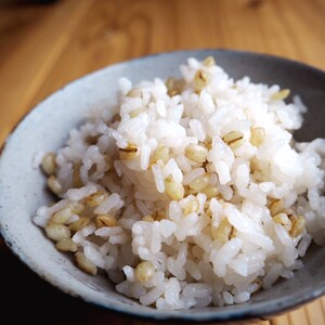 有機もち麦（はねうまもち）
