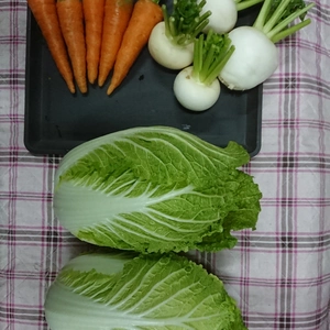 冬はやっぱりお鍋ですね✨ 白菜、かぶら、ニンジンのセットです