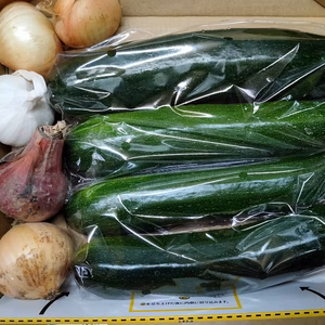 送料600円♪エリア限定★数量限定価格　ズッキーニ　ミニ野菜セット