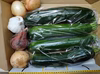送料600円♪エリア限定★数量限定価格　ズッキーニ　ミニ野菜セット